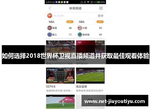 如何选择2018世界杯卫视直播频道并获取最佳观看体验