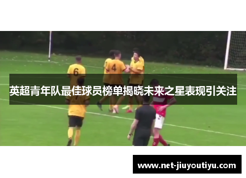 英超青年队最佳球员榜单揭晓未来之星表现引关注 英超青年队最佳球员榜单揭晓未来之星表现引关注
