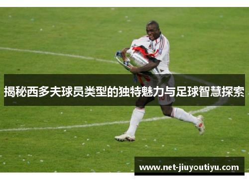 揭秘西多夫球员类型的独特魅力与足球智慧探索 揭秘西多夫球员类型的独特魅力与足球智慧探索